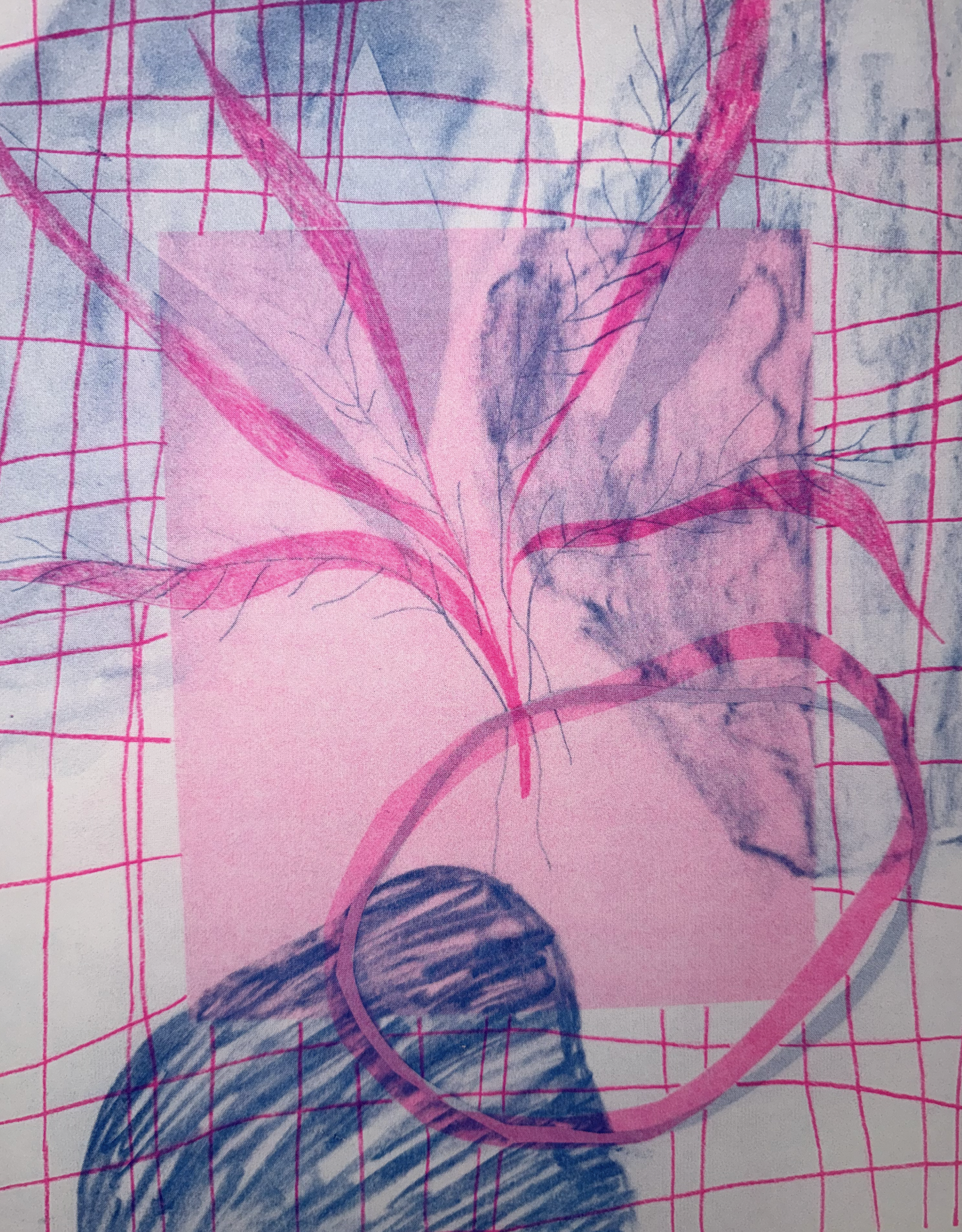 RISO WORKSHOP 26.11.